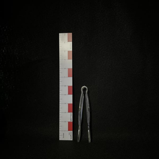 Picture of Acrylic Flat Tongs Clear 6"