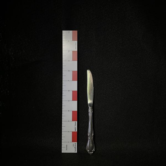 Picture of  Stainless Knife -Heavy Serration
