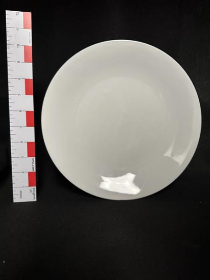 Picture of 10" White China Dinner Plate