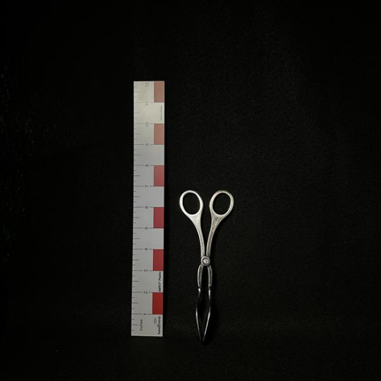 Picture of Pastry Tong 7"