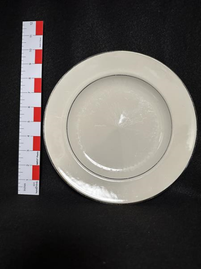 Picture of Ivory 10" Dinner Plate