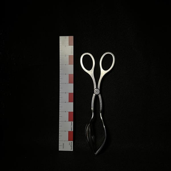 Picture of Salad Scissors 10"